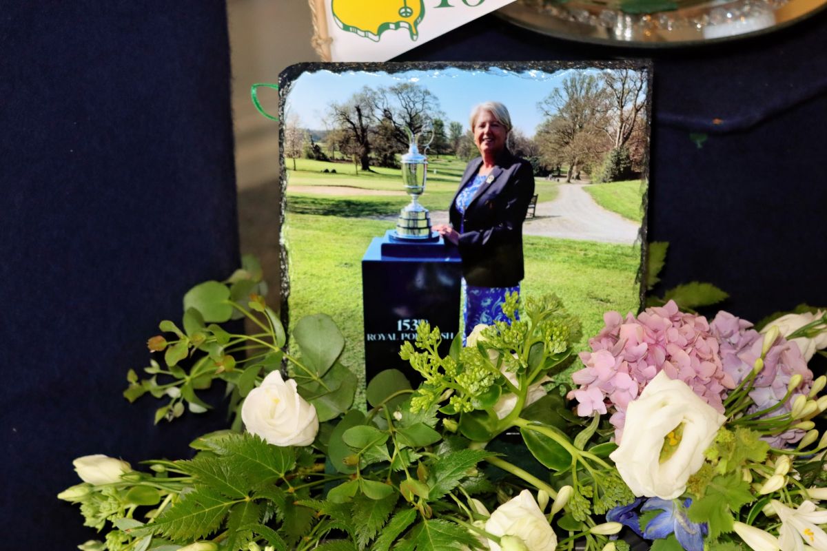 img radiant img radiant