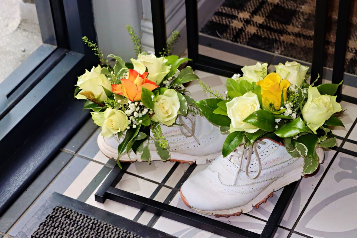 img radiant img radiant