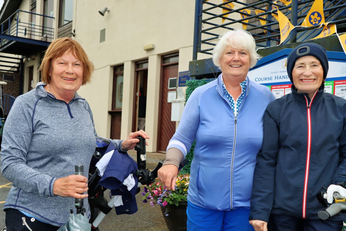 img radiant img radiant