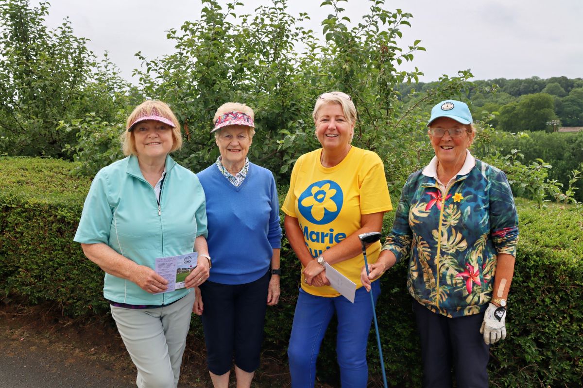 img radiant img radiant