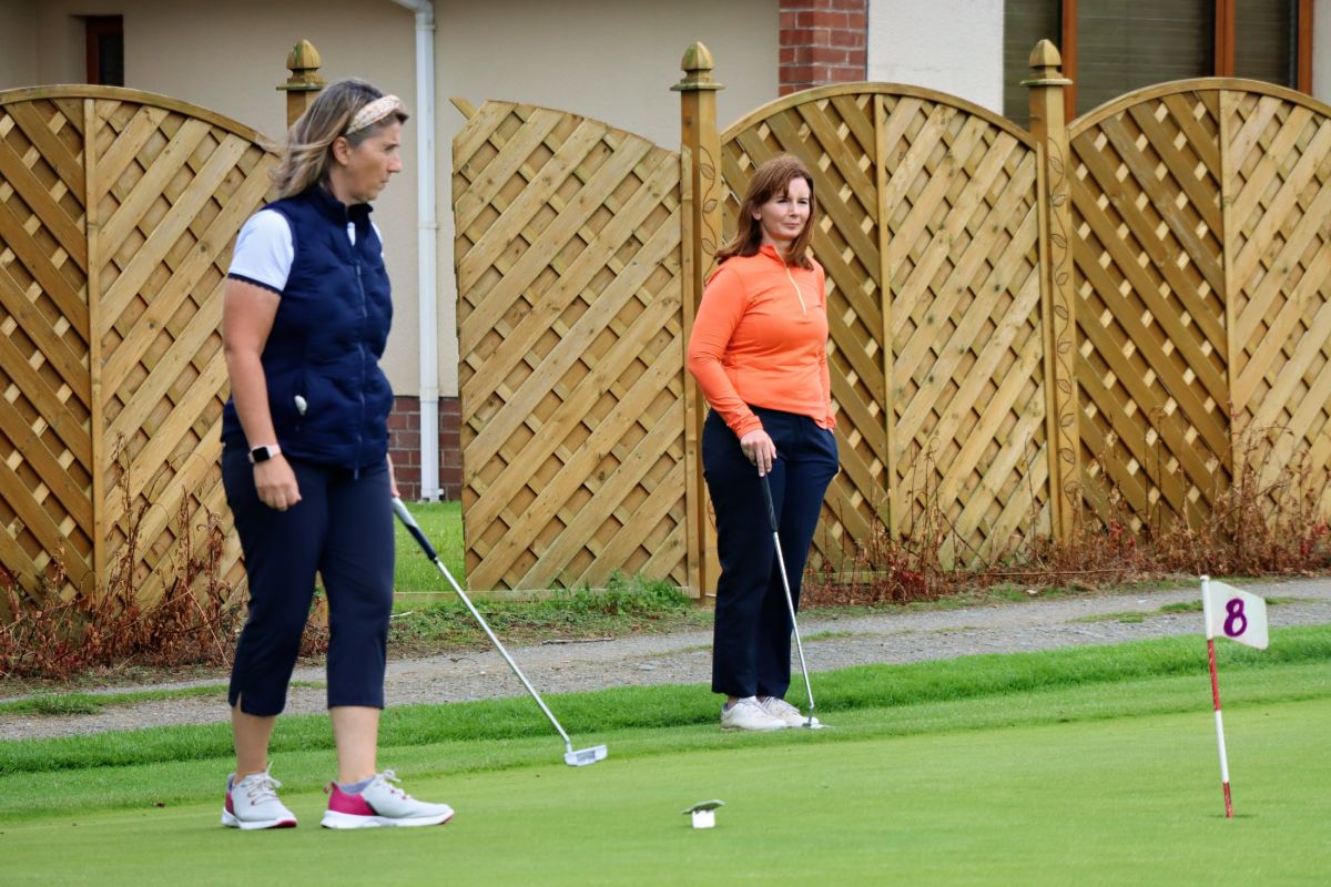 img radiant img radiant