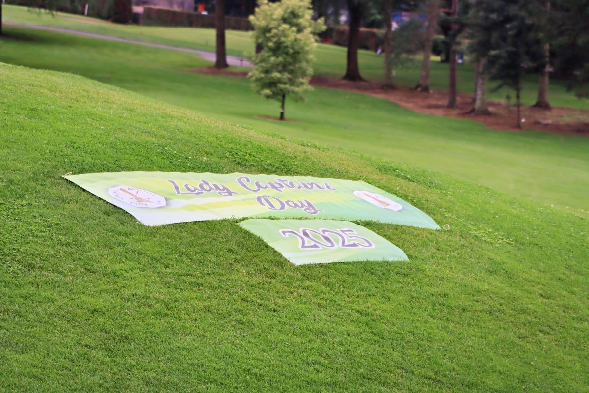 img radiant img radiant