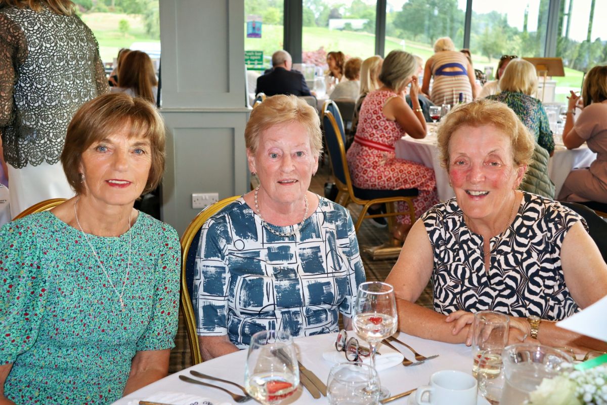 img radiant img radiant