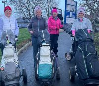 66efd1bc 5a12bf a8bc bcda2e434c65