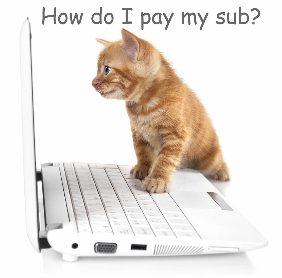 pay sub